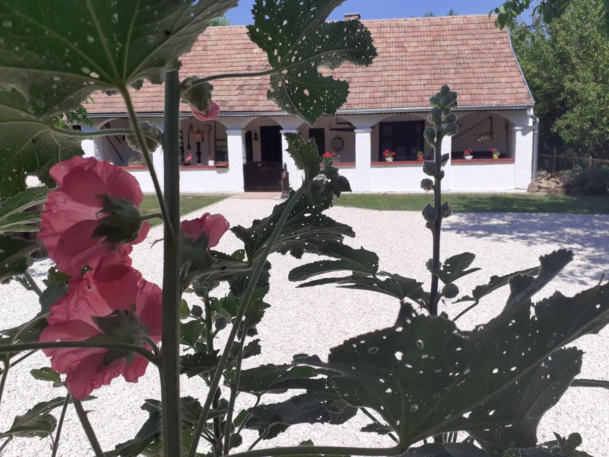 Letunt Idok Vendeghaz Villa Kemenesmihalyfa Exterior foto