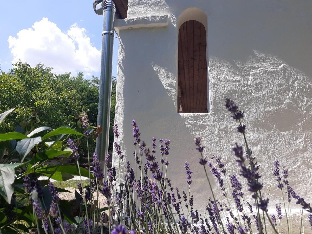 Letunt Idok Vendeghaz Villa Kemenesmihalyfa Exterior foto