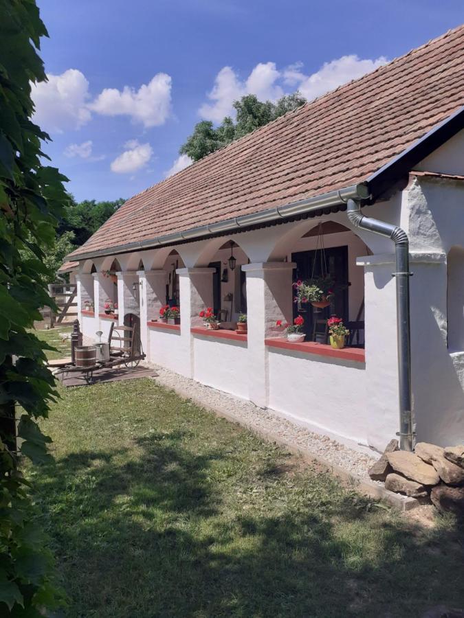 Letunt Idok Vendeghaz Villa Kemenesmihalyfa Exterior foto
