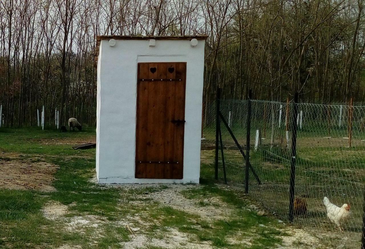 Letunt Idok Vendeghaz Villa Kemenesmihalyfa Exterior foto